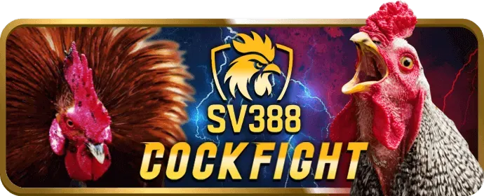 Đa dạng trò chơi cá cược trên Hubet 7799: thể thao, casino, slot